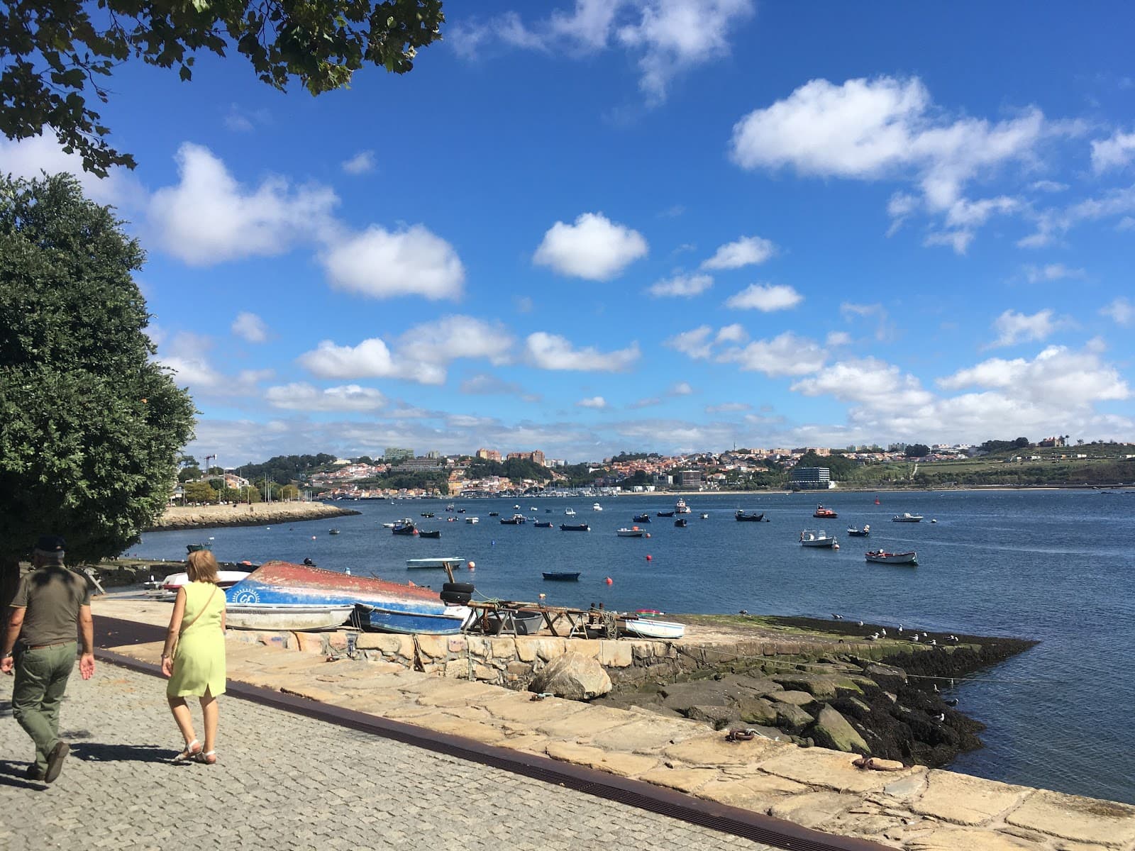Casa de Pasto da Palmeira, Porto — 2